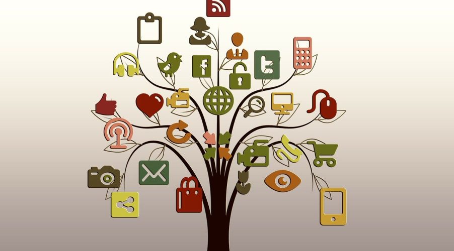 tree, structure, tiktok, networks, internet, network, social, social network, logo, facebook, google, nature, social networking, networking, social media, icon, website, presentation, multimedia